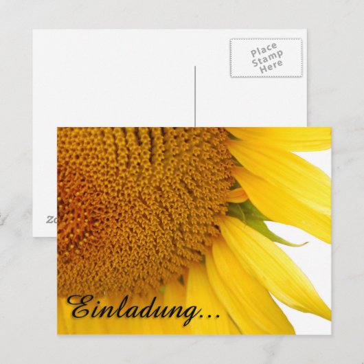 Sonnenblumen Postkarte (Vorne/Hinten)