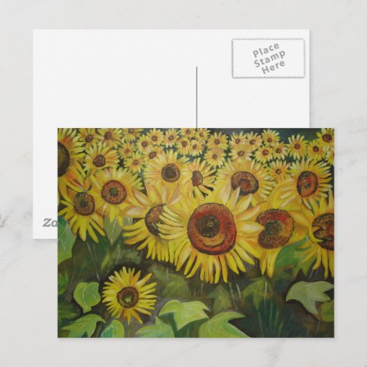 Sonnenblumen Postkarte (Vorne/Hinten)