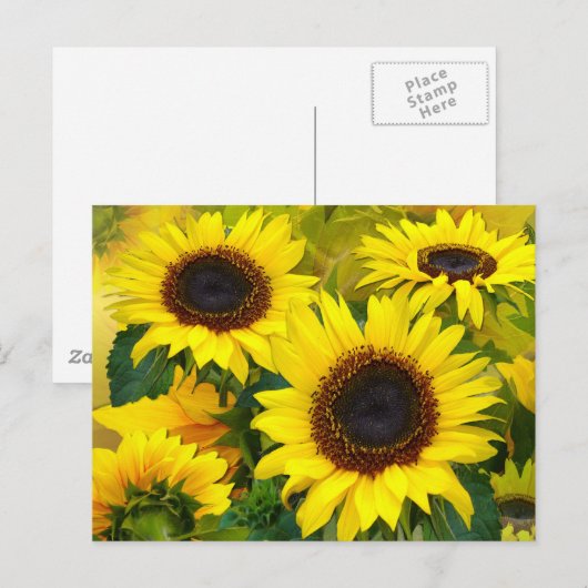 Sonnenblumen Postkarte (Vorne/Hinten)