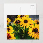 Sonnenblumen Postkarte (Vorne/Hinten)