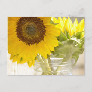 Sonnenblumen Postkarte