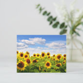 Sonnenblumen Postkarte (Stehend Vorderseite)