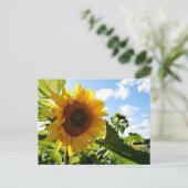 Sonnenblumen Postkarte (Stehend Vorderseite)