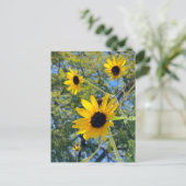 Sonnenblumen Postkarte (Stehend Vorderseite)