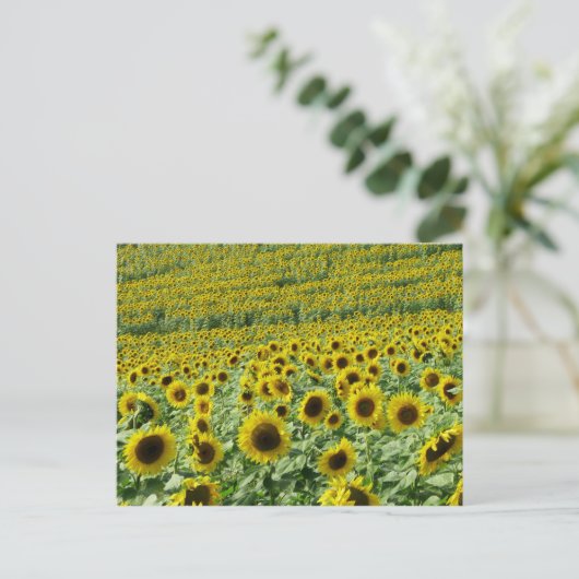 Sonnenblumen Postkarte (Stehend Vorderseite)