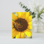 Sonnenblumen postkarte (Stehend Vorderseite)