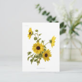 Sonnenblumen Postkarte (Stehend Vorderseite)