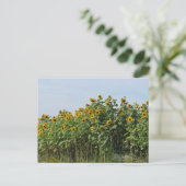 Sonnenblumen Postkarte (Stehend Vorderseite)