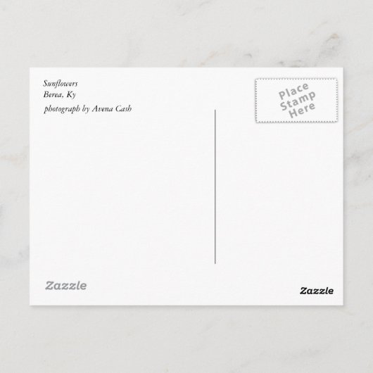 Sonnenblumen Postkarte (Rückseite)