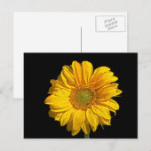 Sonnenblumen Postkarte (Vorne/Hinten)