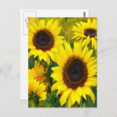 Sonnenblumen Postkarte (Vorne/Hinten)