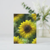 Sonnenblumen Postkarte (Stehend Vorderseite)