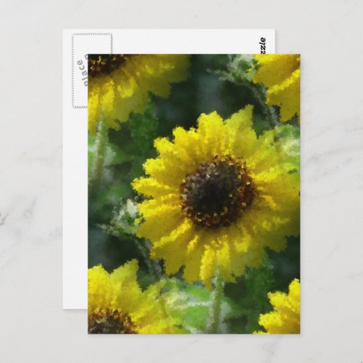 Sonnenblumen Postkarte (Vorne/Hinten)