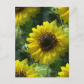 Sonnenblumen Postkarte (Vorderseite)