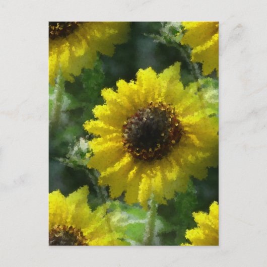 Sonnenblumen Postkarte (Vorderseite)