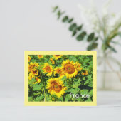 Sonnenblumen Postkarte (Stehend Vorderseite)