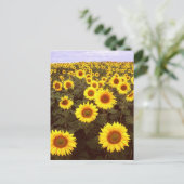 Sonnenblumen Postkarte (Stehend Vorderseite)