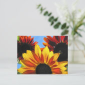 Sonnenblumen Postkarte (Stehend Vorderseite)