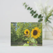 Sonnenblumen Postkarte (Stehend Vorderseite)