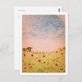 Sonnenblumen Postkarte (Vorne/Hinten)