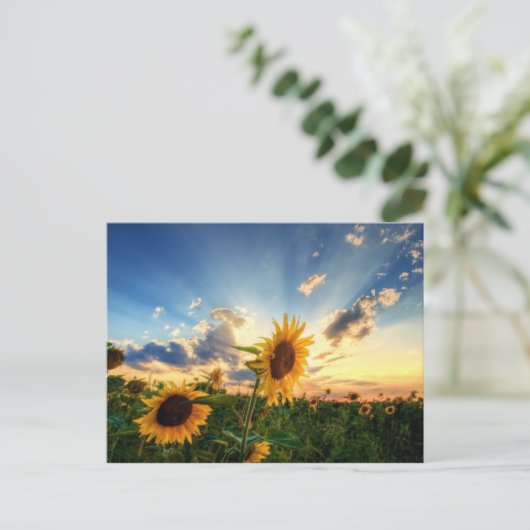 Sonnenblumen Postkarte (Stehend Vorderseite)