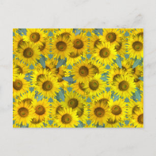 Sonnenblumen Postkarte