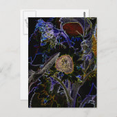 SONNENBLUMEN POSTKARTE (Vorne/Hinten)