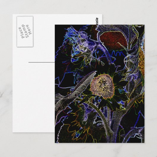 SONNENBLUMEN POSTKARTE (Vorne/Hinten)