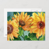 Sonnenblumen Postkarte (Vorne/Hinten)