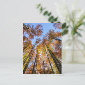 Sonnenblumen Postkarte (Stehend Vorderseite)