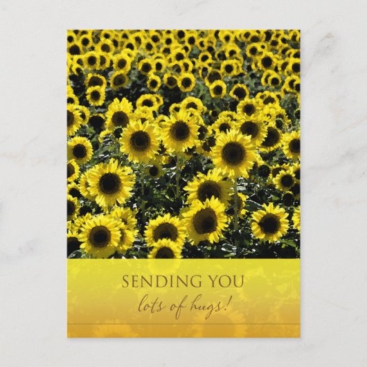 Sonnenblumen Postkarte / Versand von vielen Schläg (Vorderseite)