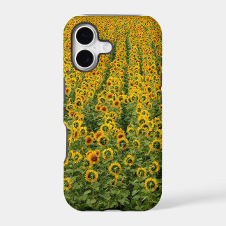 Sonnenblumen Power iPhone Hülle