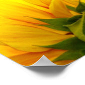 Sonnenblumen-Printwerbung Poster (Ecke)