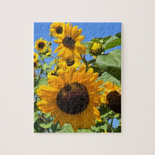 Sonnenblumen Puzzle (Vertikal)