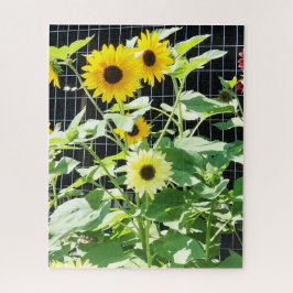Sonnenblumen Puzzle