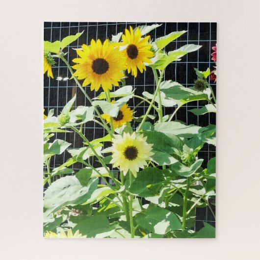 Sonnenblumen Puzzle (Vertikal)