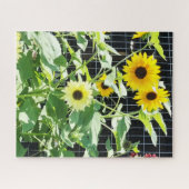 Sonnenblumen Puzzle (Horizontal)