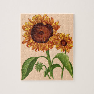 Sonnenblumen Puzzle