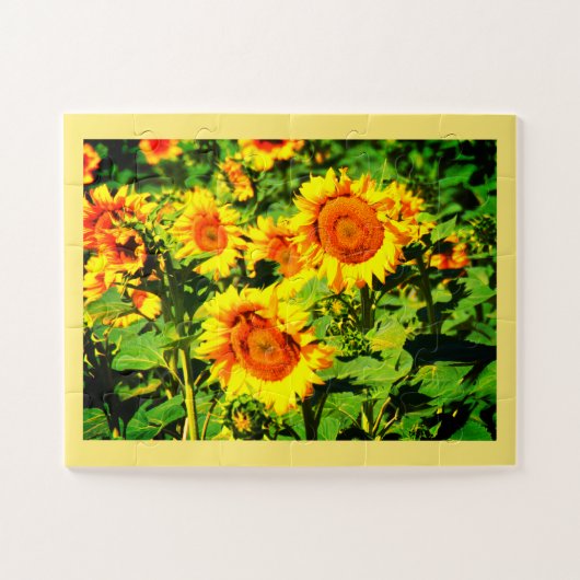 Sonnenblumen Puzzle (Horizontal)