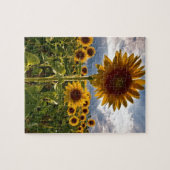 Sonnenblumen Puzzle (Horizontal)