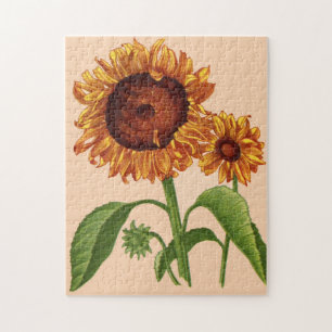Sonnenblumen Puzzle