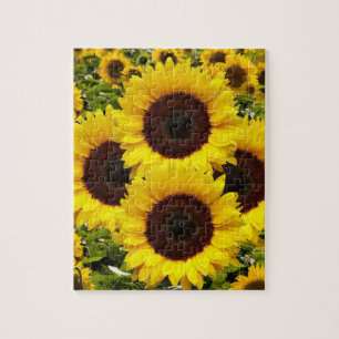 Sonnenblumen-Puzzles Puzzle