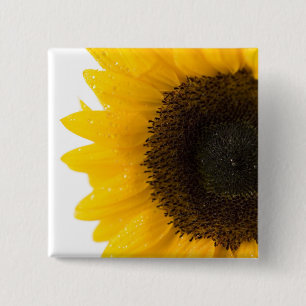 Sonnenblumen-Quadrat-Taste von Petr Kratochvil Button