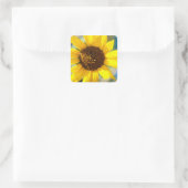 Sonnenblumen  quadratischer aufkleber (Tasche)
