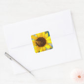 Sonnenblumen  quadratischer aufkleber (Umschlag)