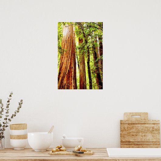 Sonnenblumen-Redwood-Poster (Glossy) Poster (Küche)