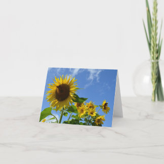 Sonnenblumen & Schmetterlinge Karte