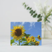 Sonnenblumen & Schmetterlinge Postkarte (Stehend Vorderseite)