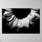 Sonnenblumen Schwarz und Weiß Poster (Vorne)