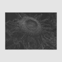 Sonnenblumen Schwarz-Weiß-Blumen Art Dekor